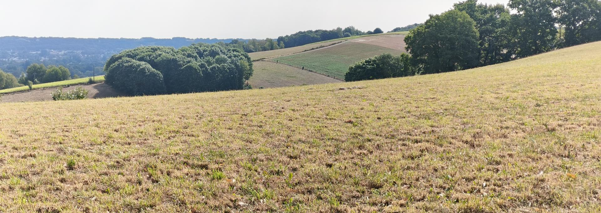 paysage paysage