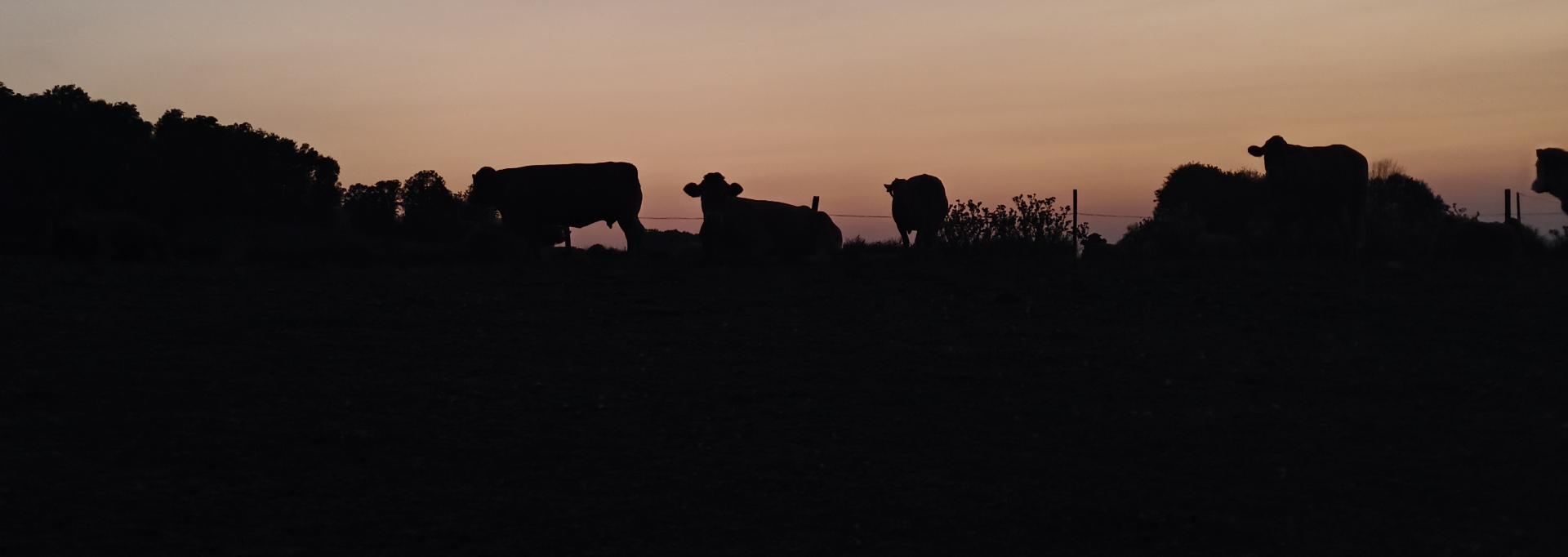 Fermes et Agriculture Fermes et Agriculture