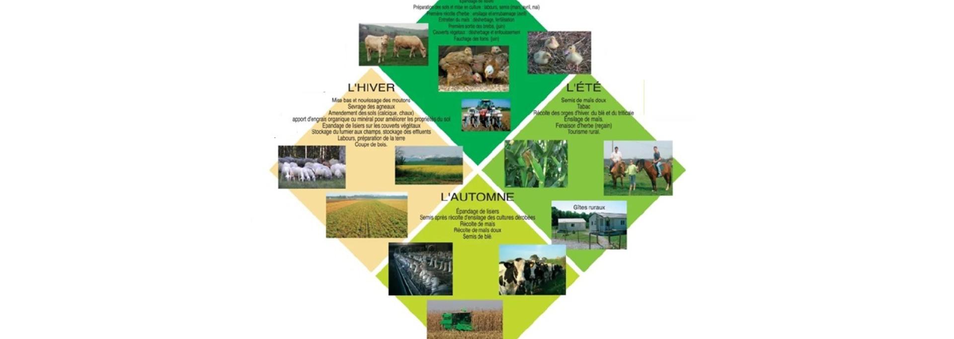 L'agriculture L'agriculture