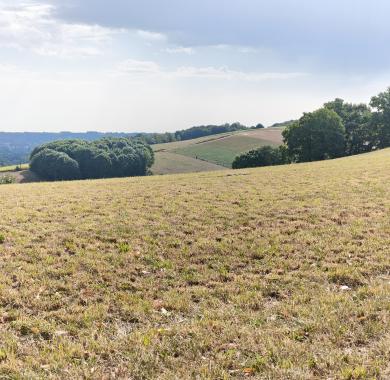 paysage paysage