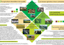 Plaquette Agriculture à Artigueloutan - 2.pdf